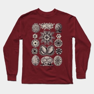 Ernst Haeckel Ascidiae Sea Squirts Aubergine Long Sleeve T-Shirt